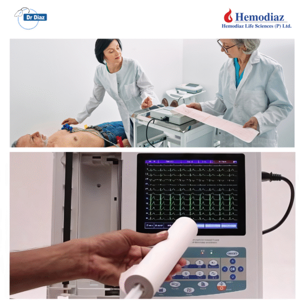 ECG 12 Channel Paper Roll